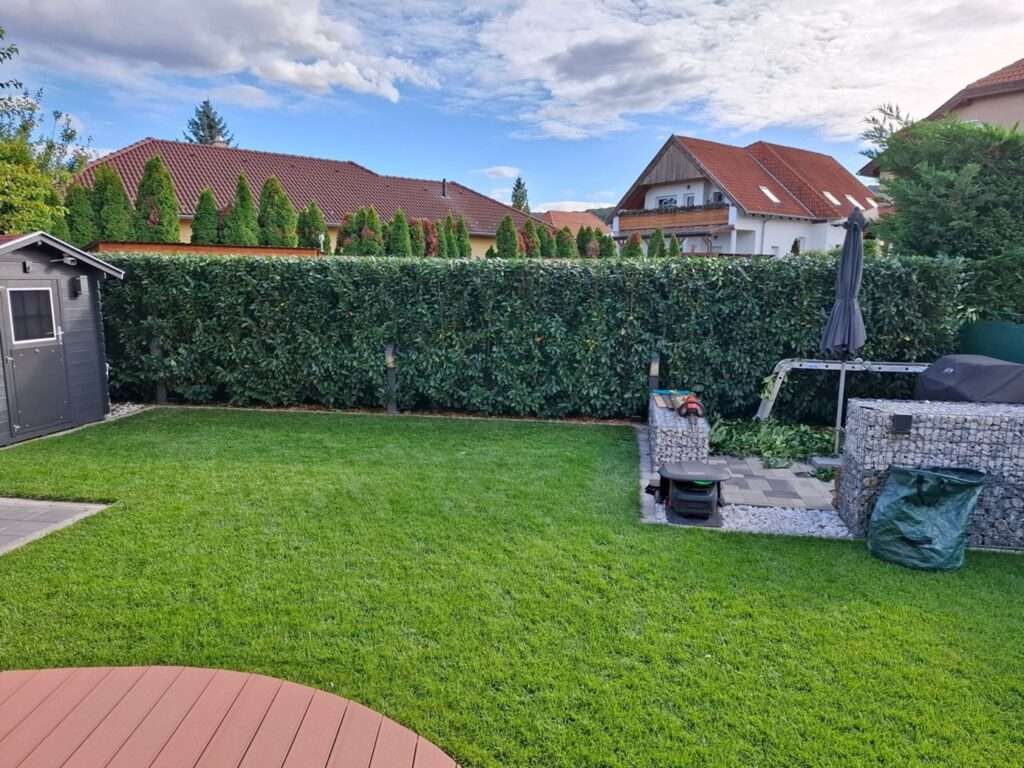 Home – Zöld Fakopáncs